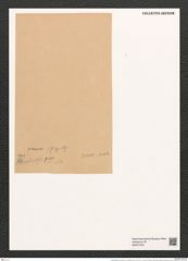 Grammatophora oceanica var. nodulosa Grun. (de-Toni-Nr.: Genus 93, Species 3036) Zeichnungen Sammlung Grunow (NHMW-BOT-W0374725)